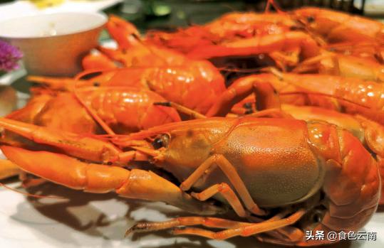 云南好吃的饭店推荐,云南省最好吃的百年老店餐厅