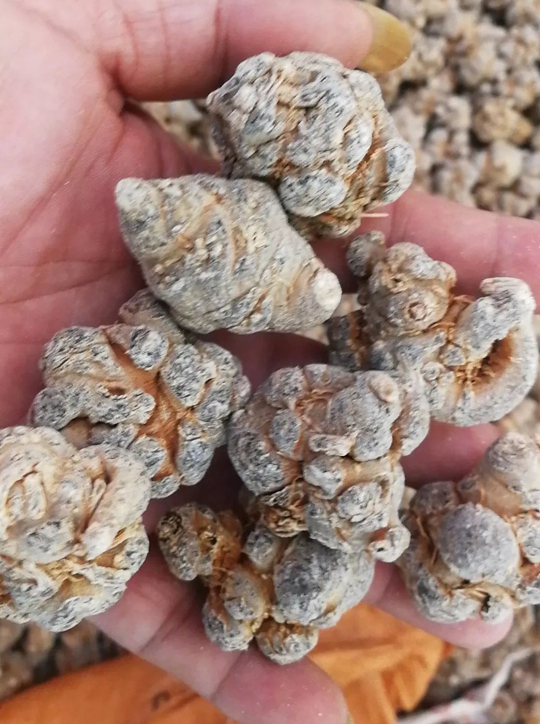 云南旅游购物团怎么避坑,云南旅游注意购物陷阱19年