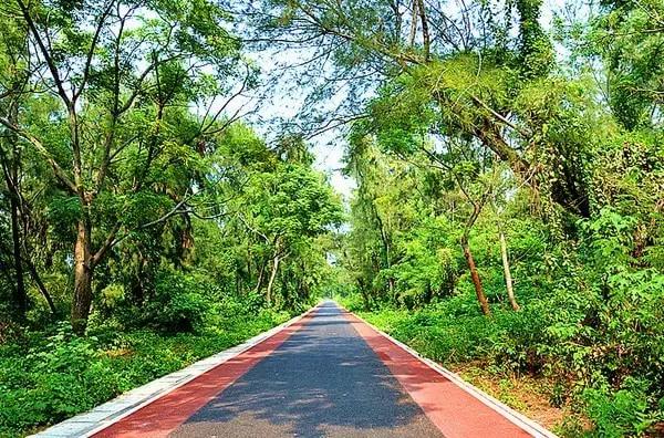 比鼓浪屿大12倍,比三亚安静10倍!这小岛最适合现在去,美轮美奂