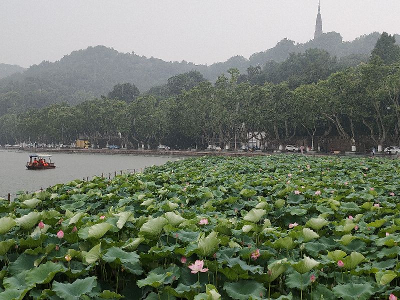 杭州西湖断桥好大的雨,杭州西湖断桥残雪夜景下雨