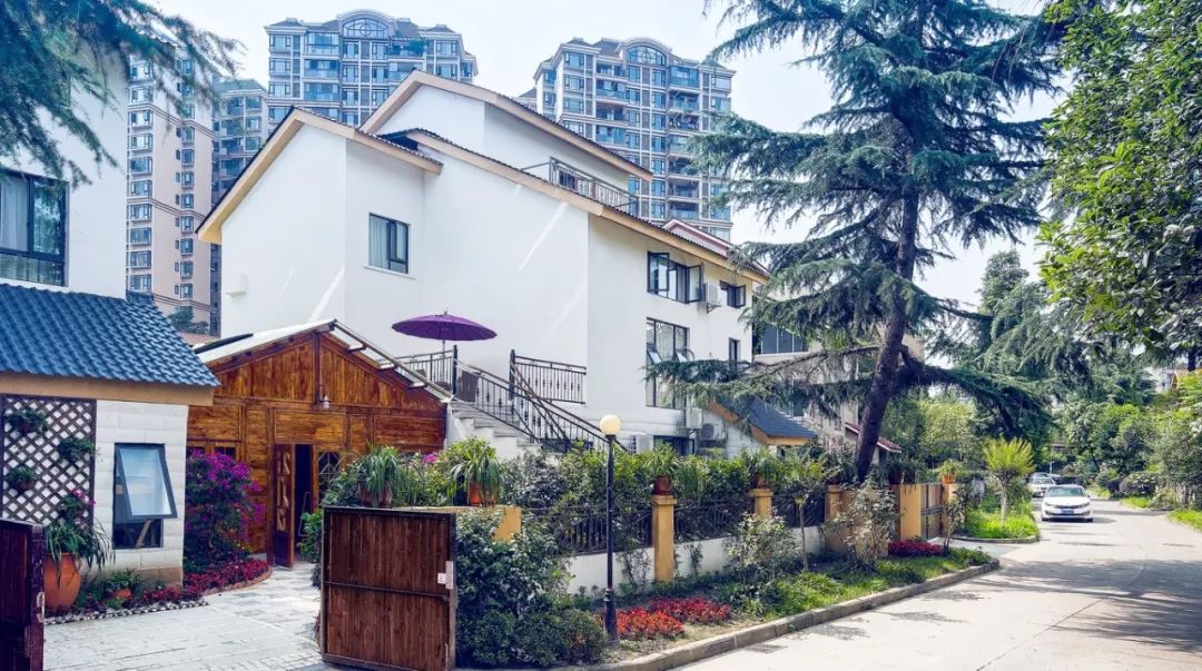 民宿投资十大骗局,民宿投资骗局