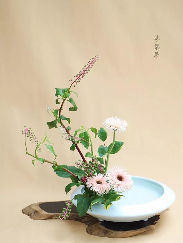 周末去哪儿小说,周末去哪儿玩免费景点