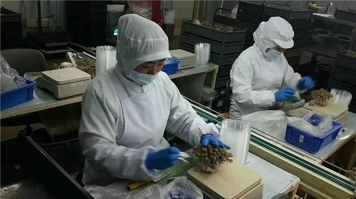 外派劳务是怎么回事,劳务派遣工程承包