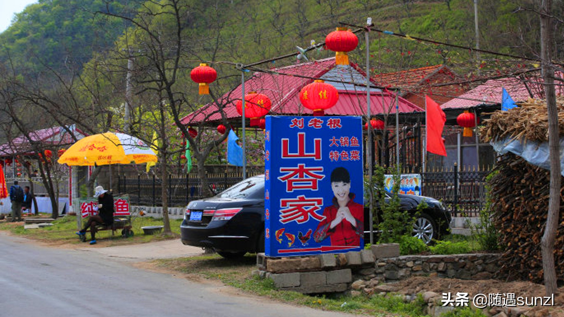 丹东宽甸桃花旅游攻略,丹东宽甸桃花岛旅游攻略自驾