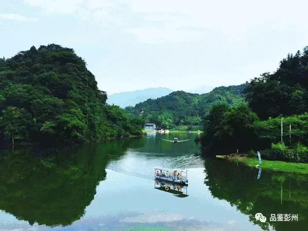 五朵金花组团出战,五朵金花齐聚的时候