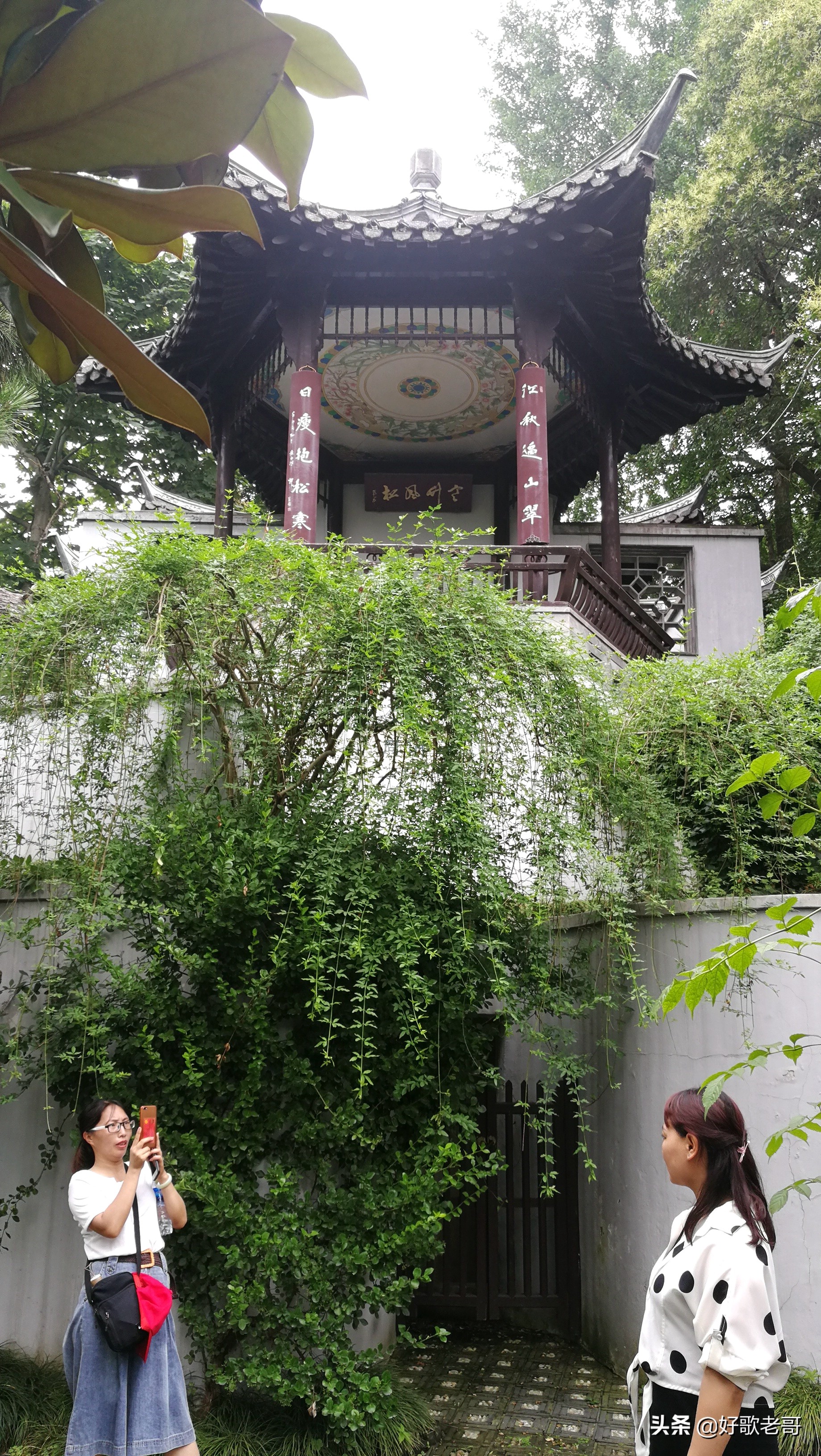 十里湖光，清澄缥碧，花木扶疏，连绵滴翠…瘦西湖游记