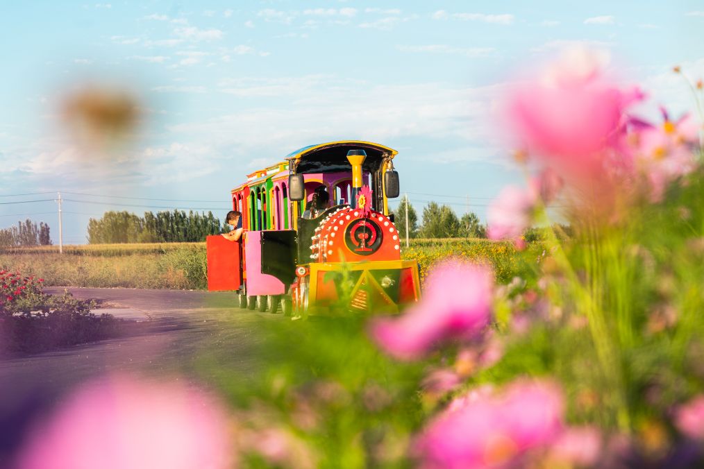 她是滔滔千里黄河的宠儿,阴山之下、河套之上的掌上明珠