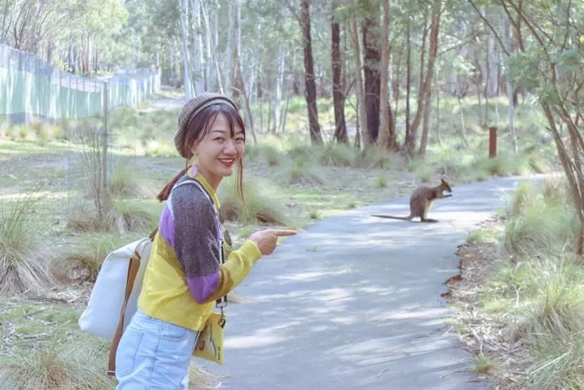 澳洲|春意堪培拉,看袋鼠、品酒、赏花、住进动物的家