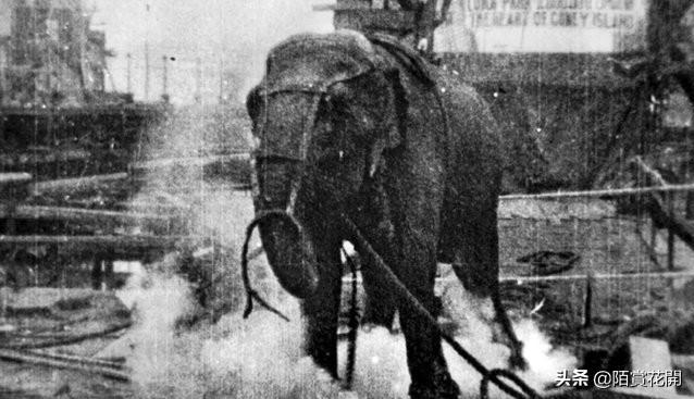 电为什么要正负两极,电瓶电是直流还是交流