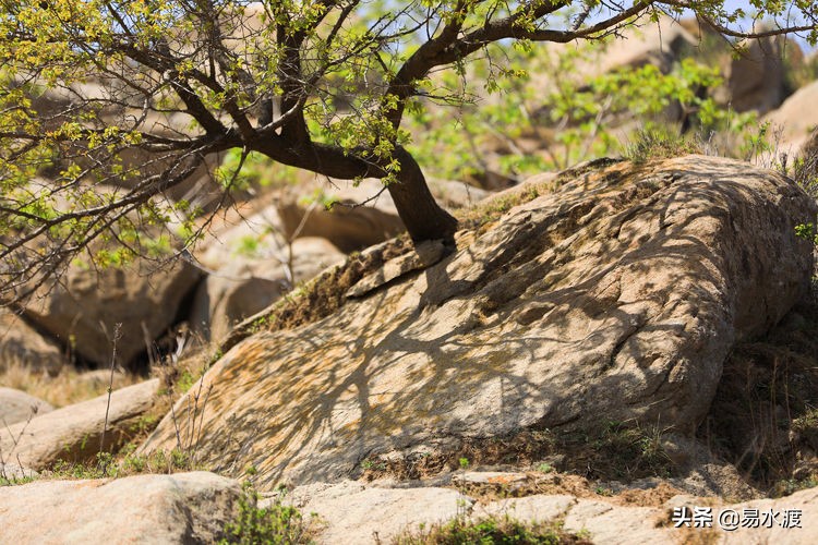 易县八百山,易县一日游太行水镇