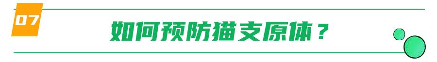 支原体感染家里有猫,猫的支原体感染会传染人吗