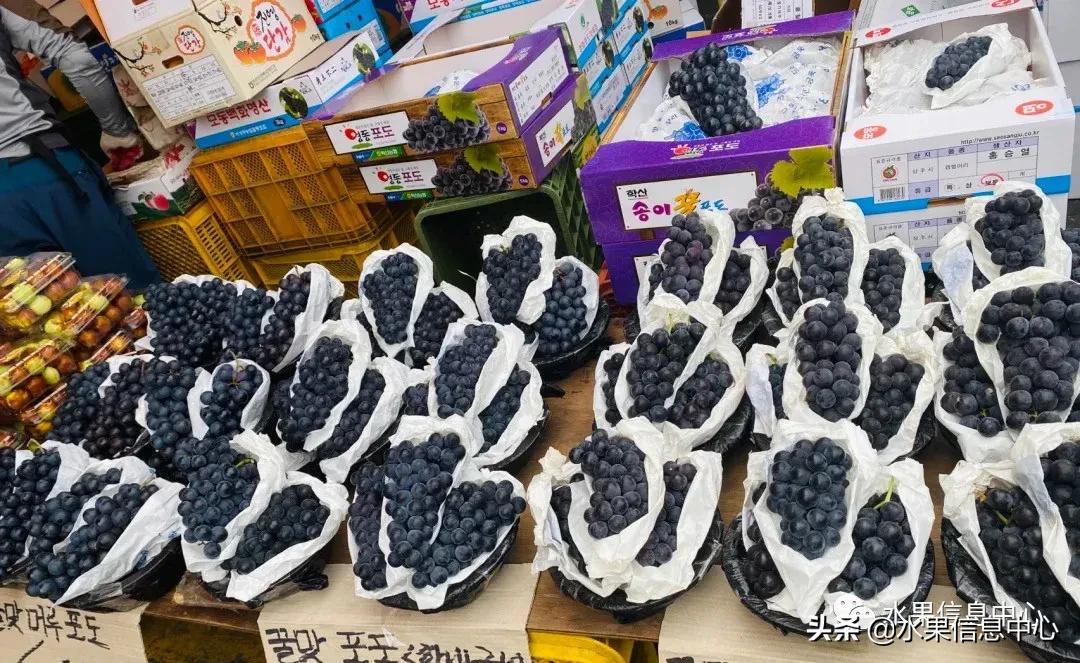 韩国的蔬菜水果批发市场,韩国最便宜的苹果水果