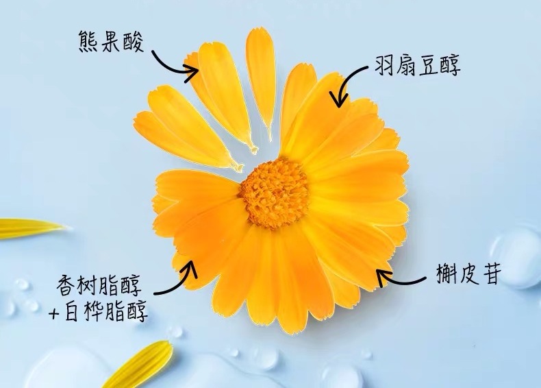 别再浪费钱买护肤品,别再浪费时间了好好赚钱