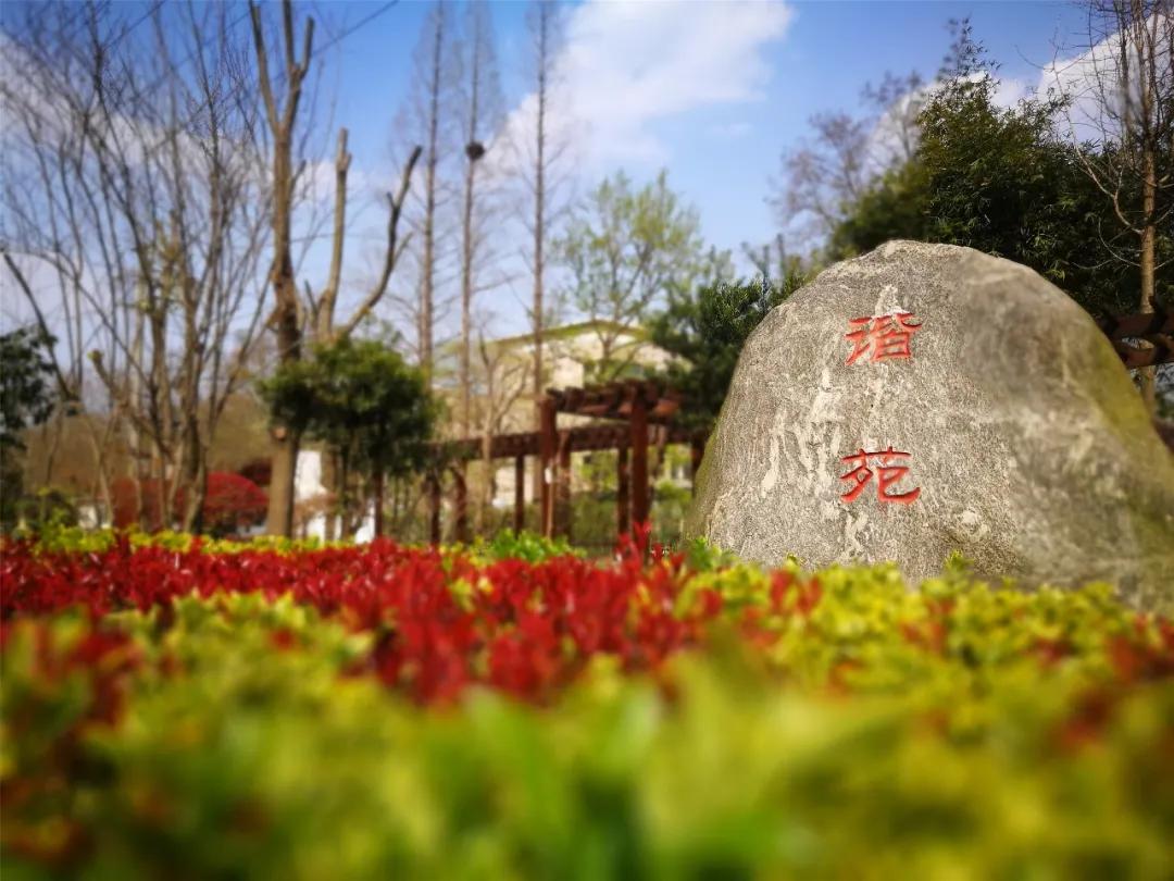 南京比较好的小学学校排名,南京名校小学最新排名