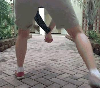 国际狗粮,世界狗粮日