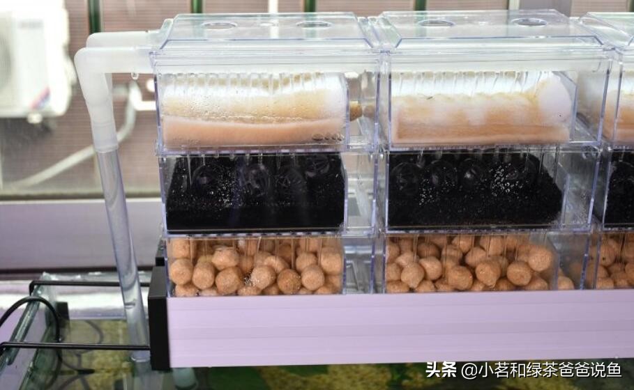 鱼缸上过滤系统和下过滤的区别,养观赏鱼的过滤方法视频教程全集