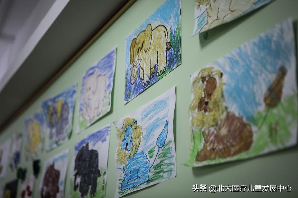 专业孤独症儿童康复培训,孤独症儿童康复培训