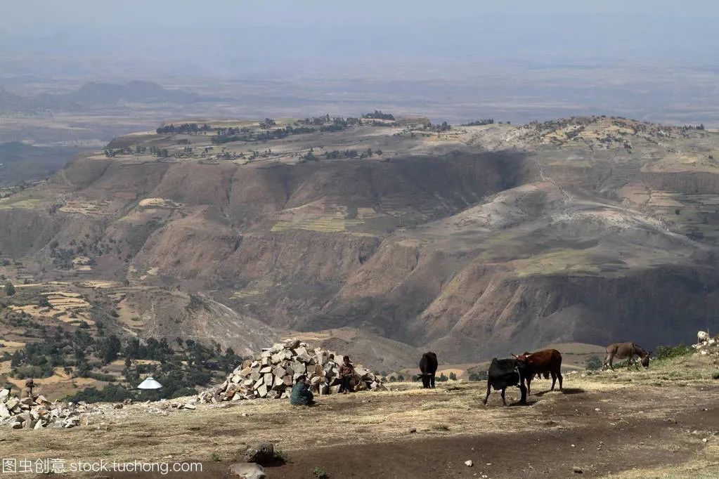 埃塞俄比亚经济发展合理化建议,埃塞俄比亚投资不利条件