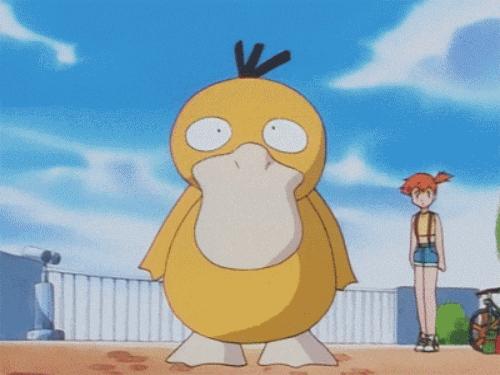 租房有哪些攻略,意大利留学中介推荐租房