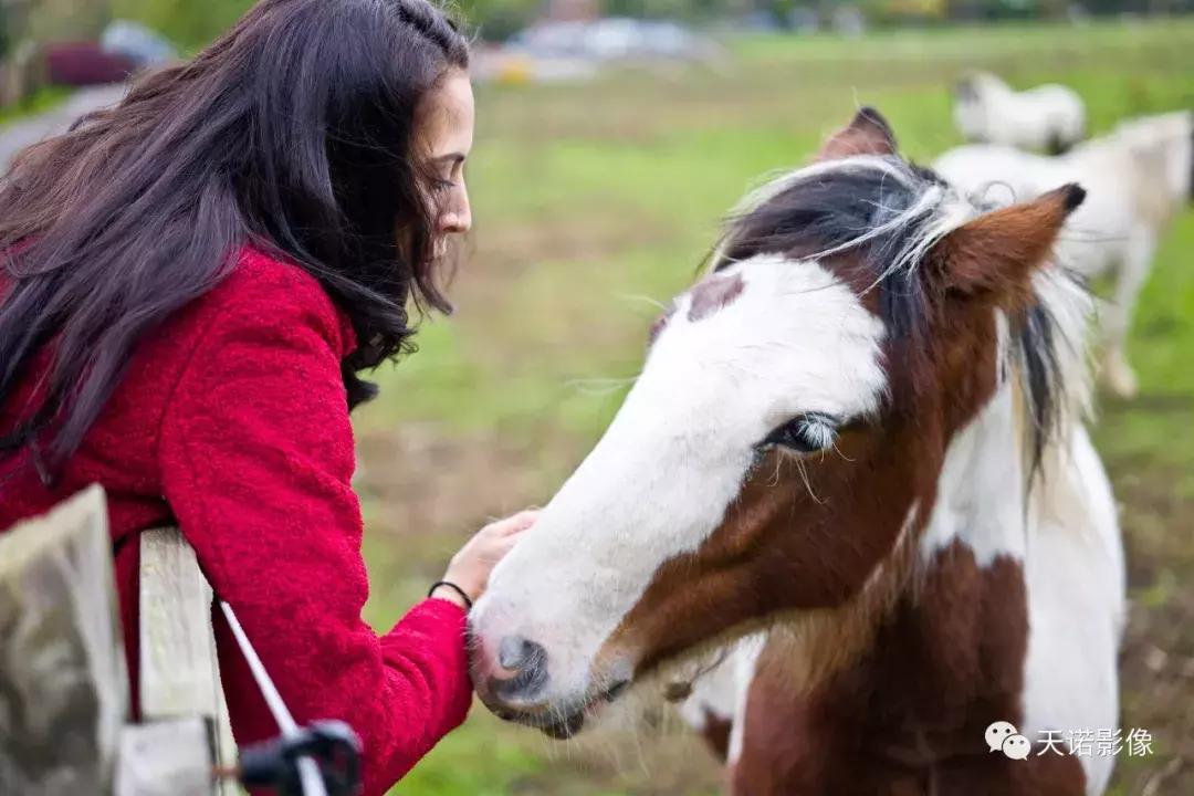 锐不可当字体图片,锐不可当的镜头