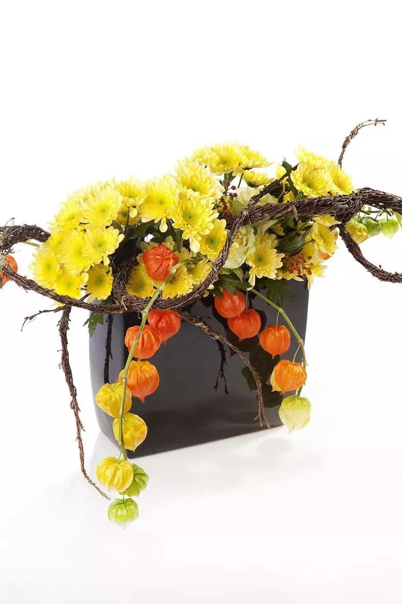 好看的切花菊推荐,好看好养的切花菊