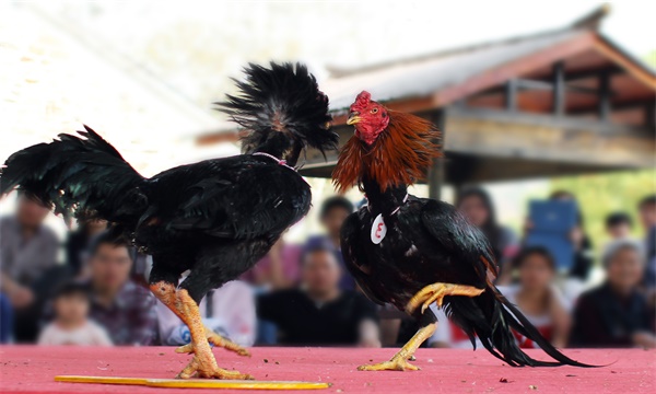 新疆吐鲁番市十大特产,吐鲁番市有哪些特产