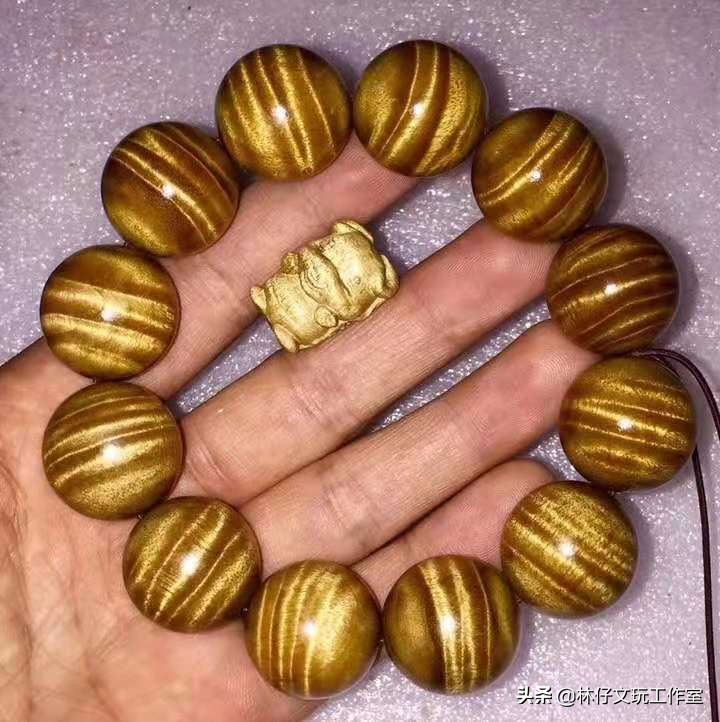 东方神木馆里的金丝楠木有多长,神木金丝楠木