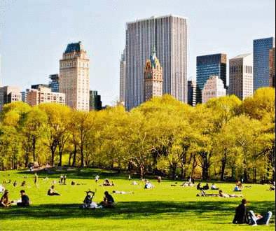 美国藤校夏校的报名要求,美国藤校夏校