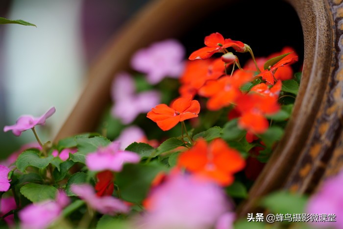 今年会出哪些全画幅微单,最强微单全画幅是r5吗