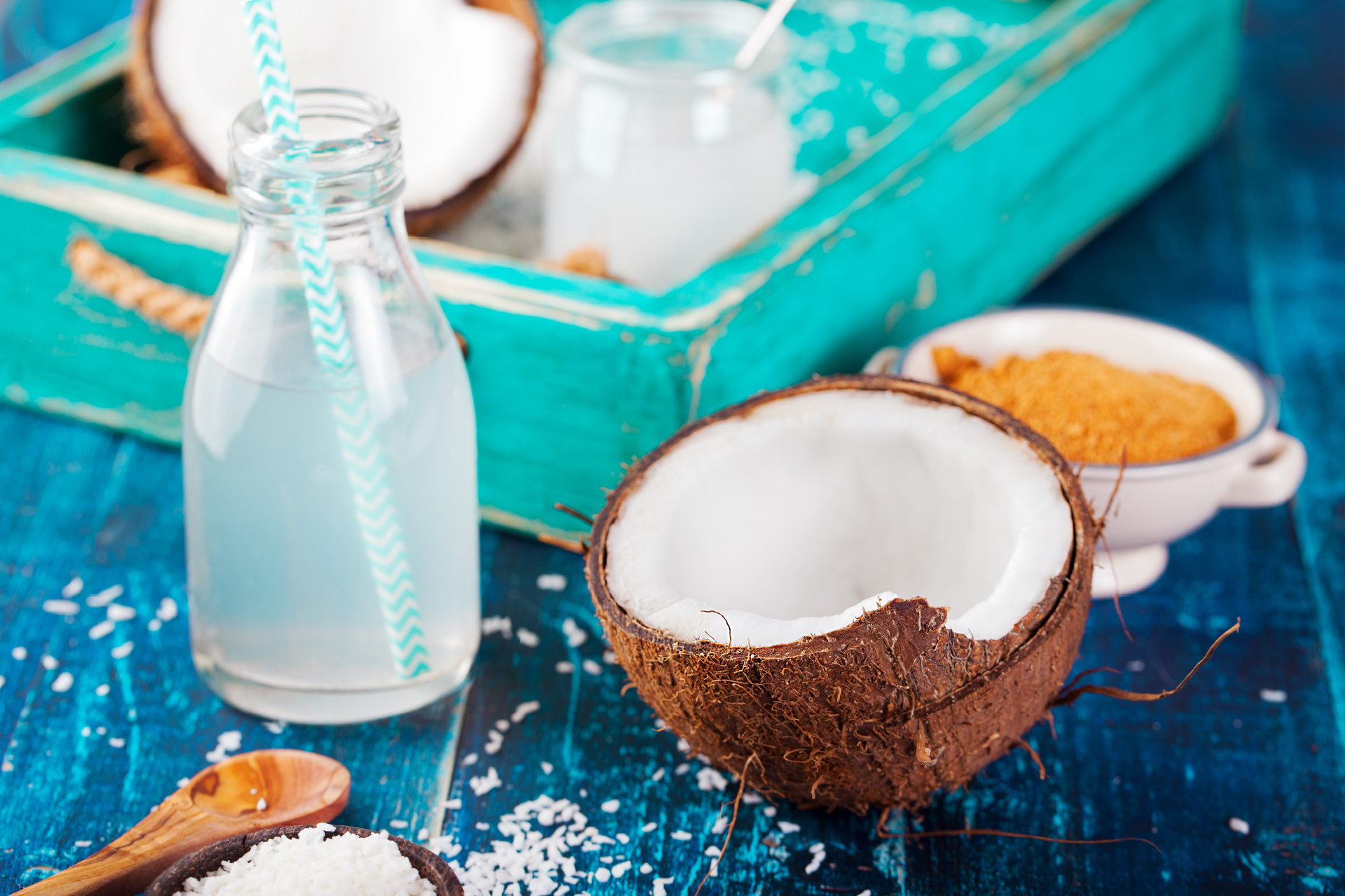 狗狗能吃椰子肉吗,狗狗吃椰子油有什么好处