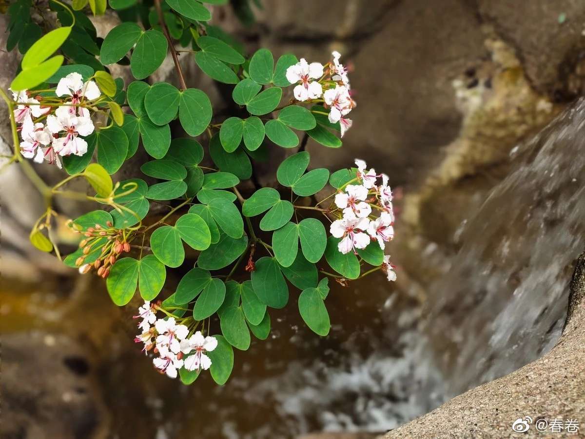 vivox27pro使用感受,vivox27pro为什么不建议购买