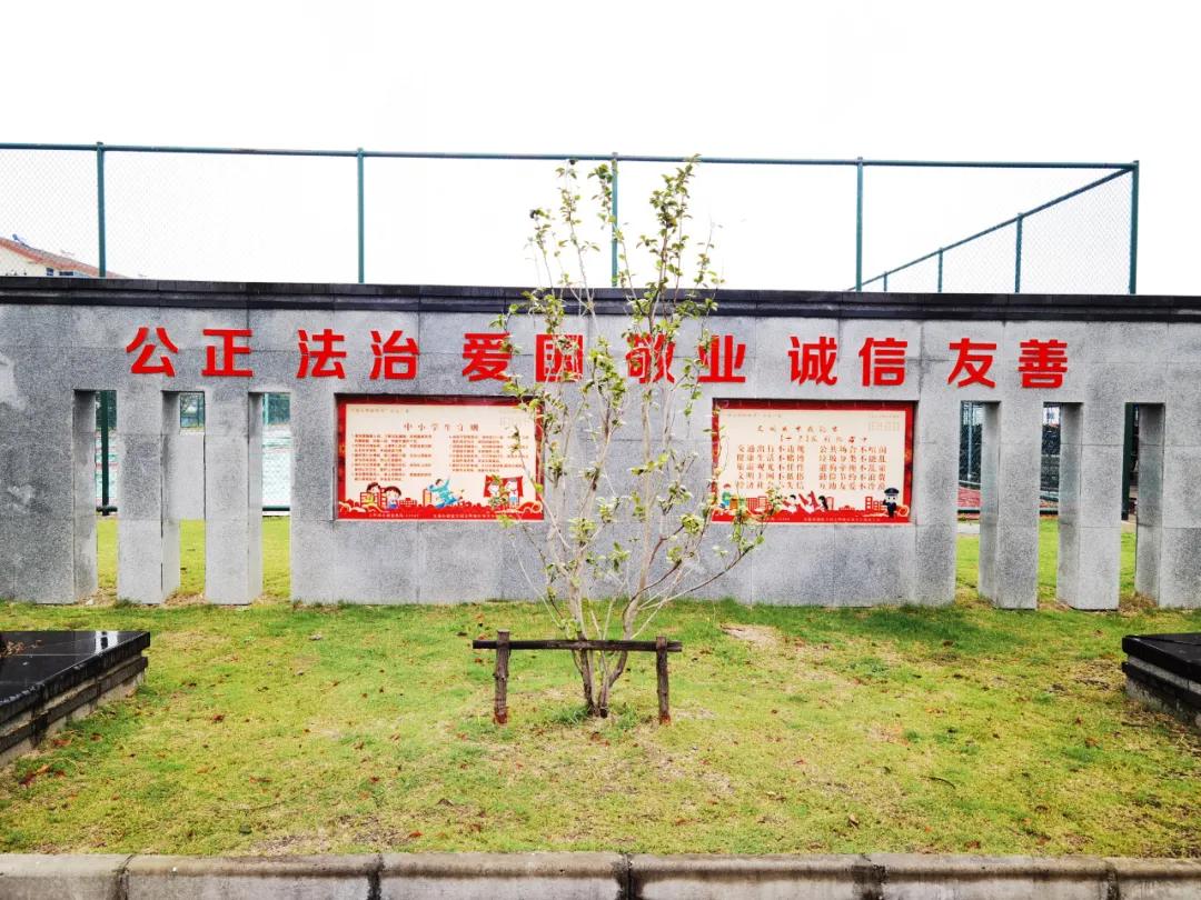 文明清风新吴有礼|梅里中学:弘扬时代精神,绽放文明之花