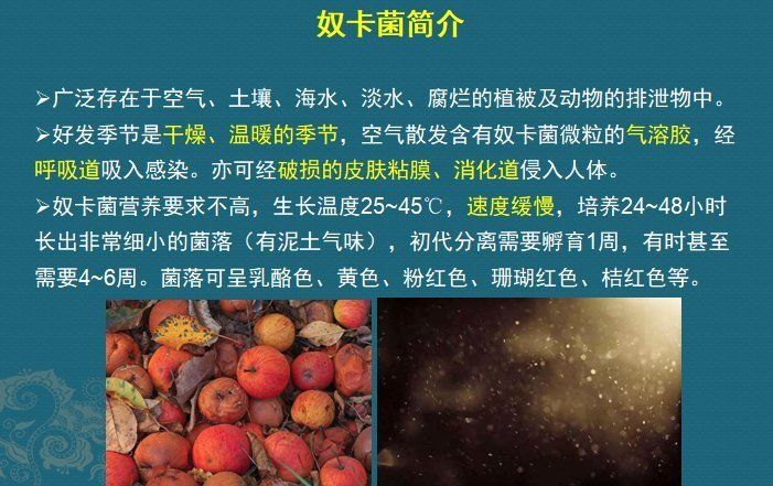 这个细菌提醒你，别买病死的鱼，它是个吃草的细菌，后来学会吃鱼