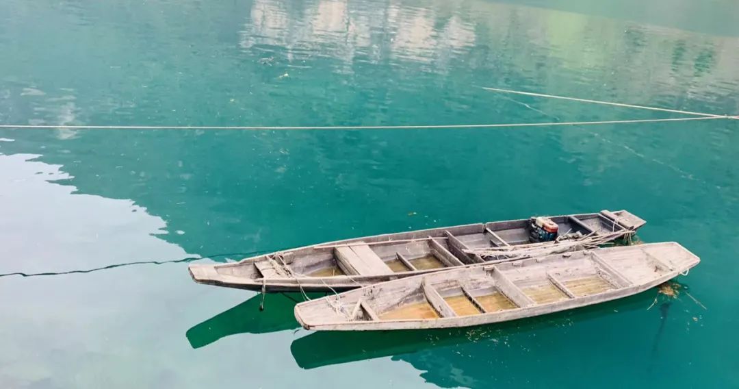 野奢不被鄙视？问问那些爱钓鱼的老孩子们，他们有活蹦乱跳的经验