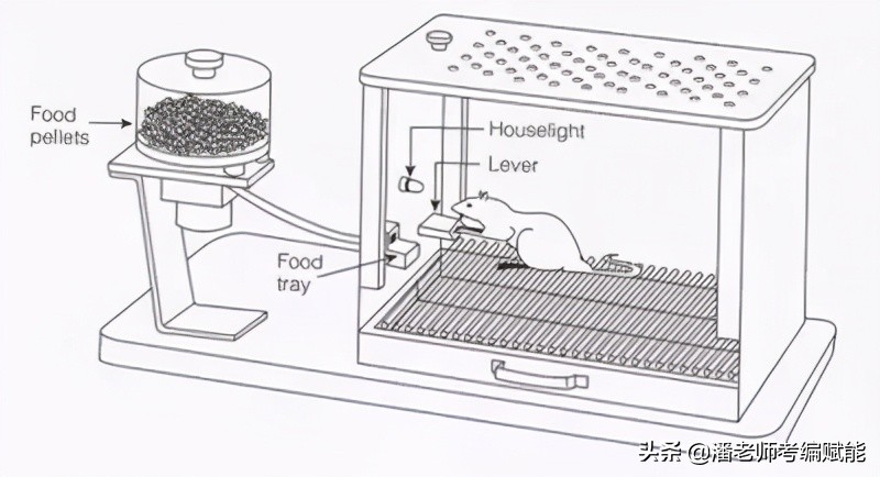 教招考试中常考的实验有哪些？