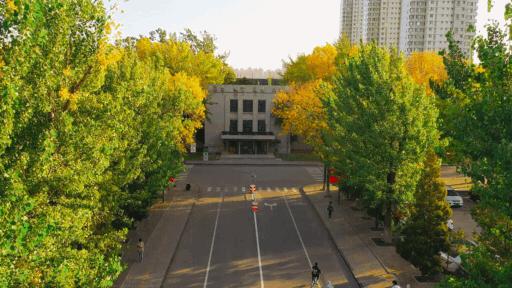 天津普通本科的大学,天津普通高校多少所大学