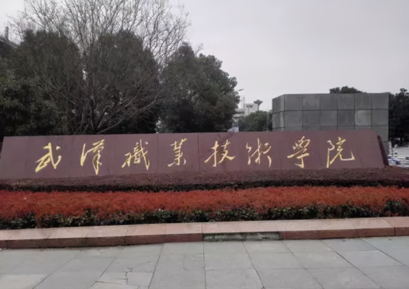 武汉民政职业学院在武汉高职排名,湖北高职院校排名