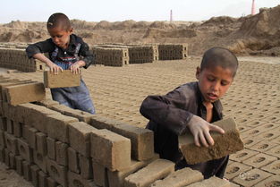 学霸养成法如何激发孩子的内驱力,学霸攻略如何逼自己学习