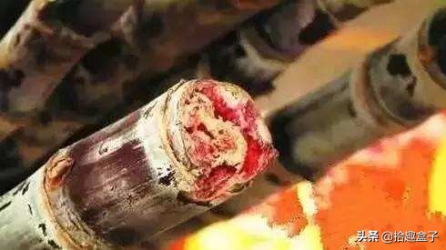 甘蔗来了,甘蔗来了完整版