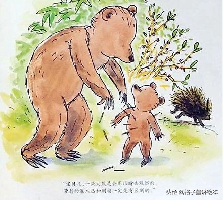 家长推荐的3-7岁孩子必读绘本,孩子大格局养成绘本推荐