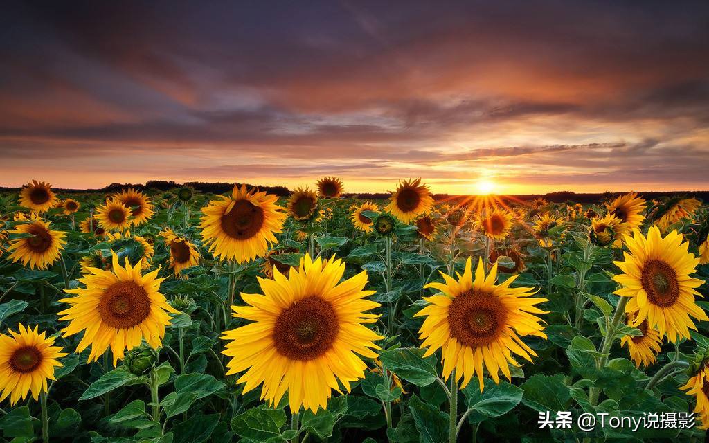 单反相机拍照怎么查看光圈优先,单反相机光圈优先拍摄技巧