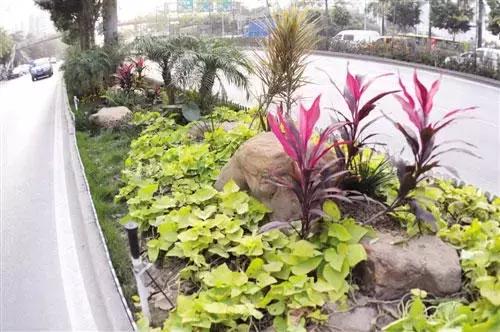 城市更新改造重点任务有几项,城市改造计划项目