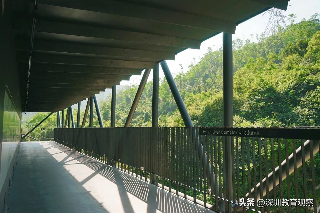 走名校vol.8|三年，明德国际体系走出怎样一条新路？