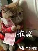 炒股群50人49个骗子,炒股群里除了自己都是骗子