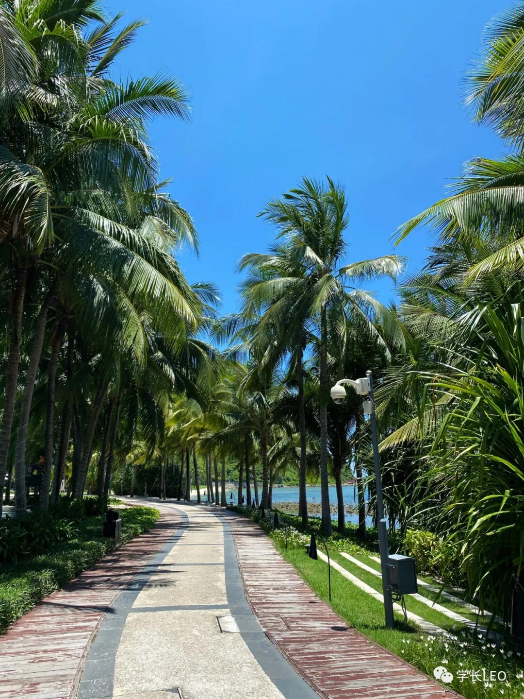 哈佛学长碎碎念：夏天就应该去海边，南方的海有多美？