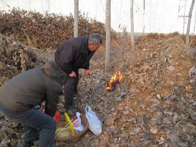 清明不方便回家乡扫墓怎么办,农村没有儿子有女儿宅基地咋办
