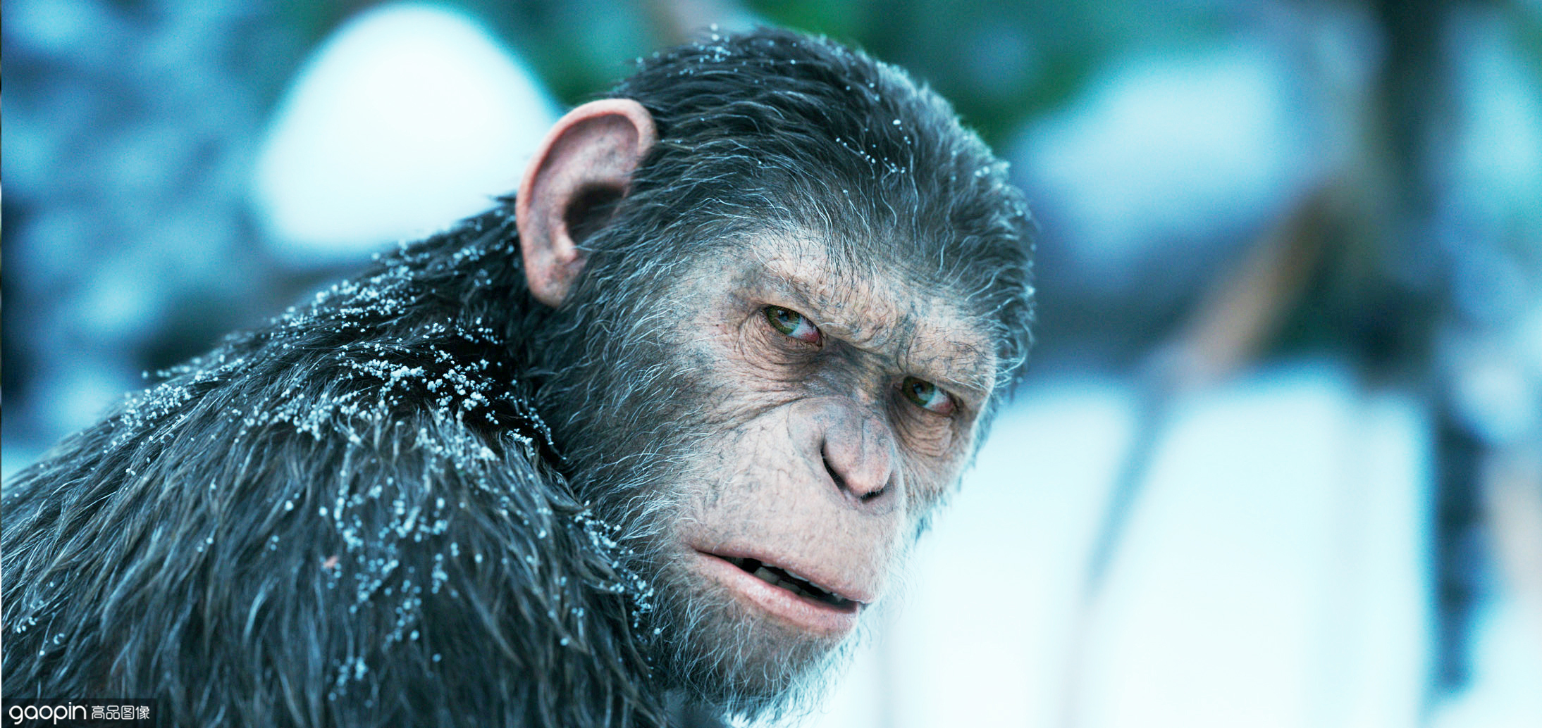 卓别林英伦男人,卓别林英伦cg