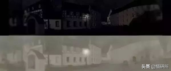 这9个猫界冷知识，你知道么？