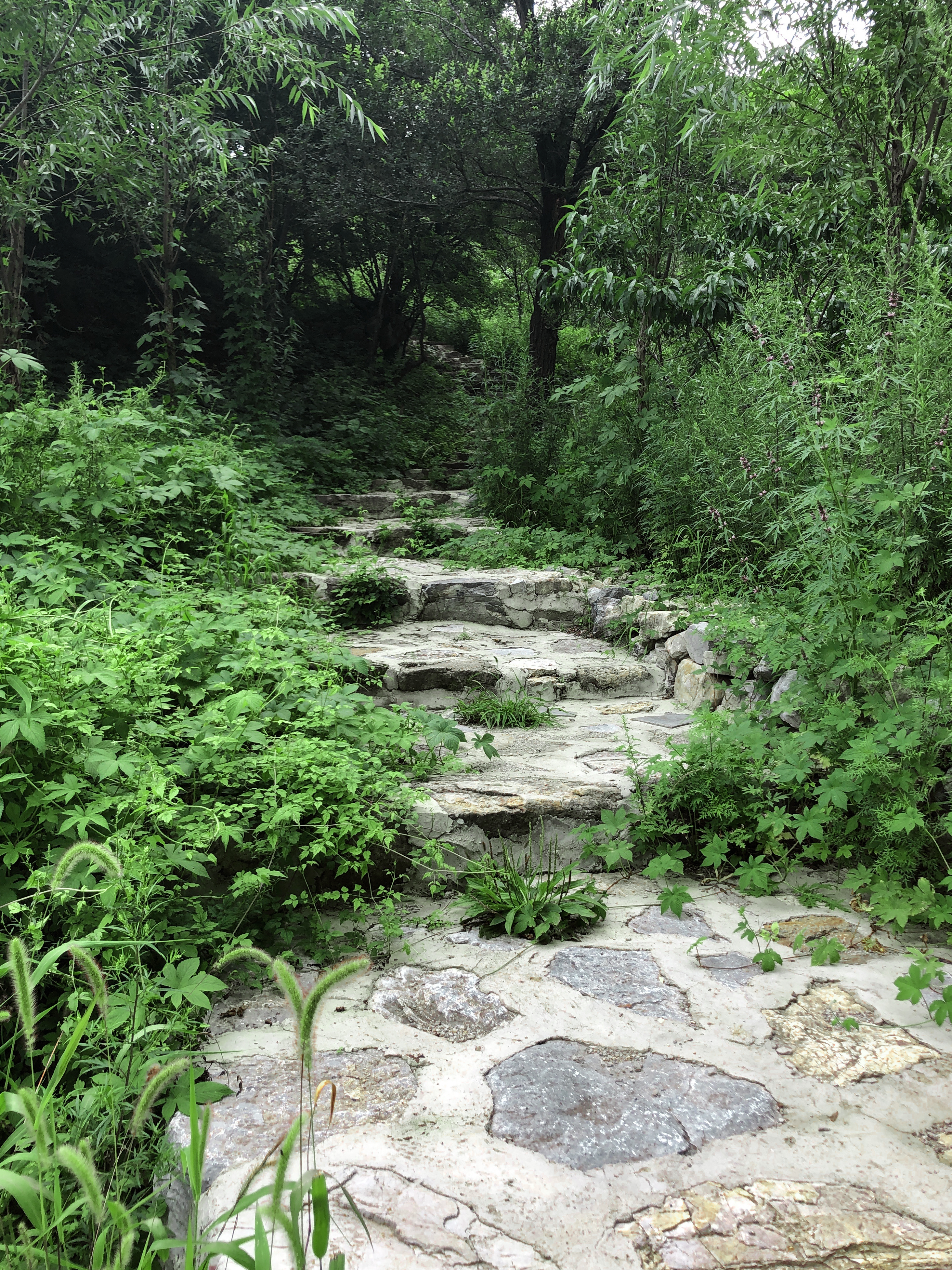 京郊十条登山步道推荐,房山蝴蝶谷登山步道