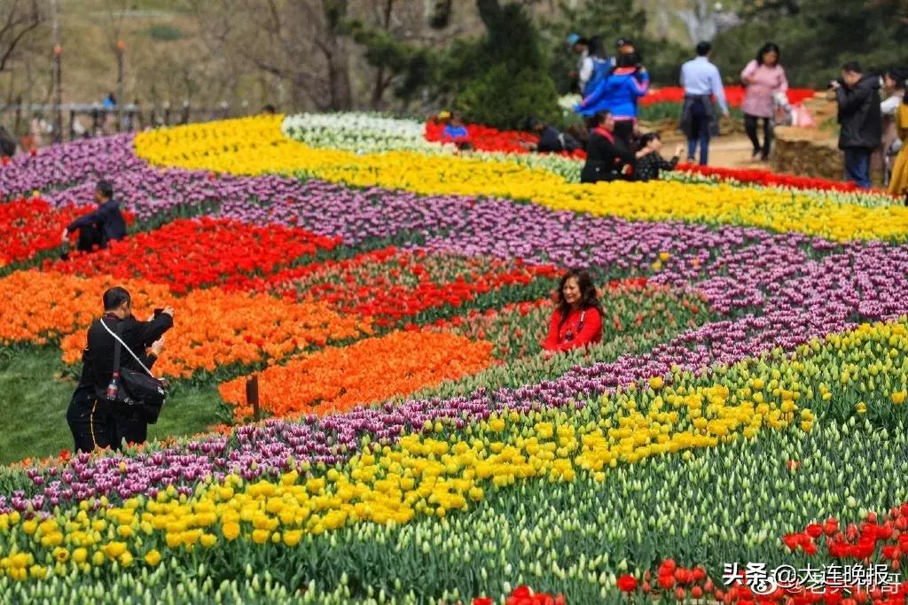 大连旅游必去景点路线推荐,大连最佳的旅游路线